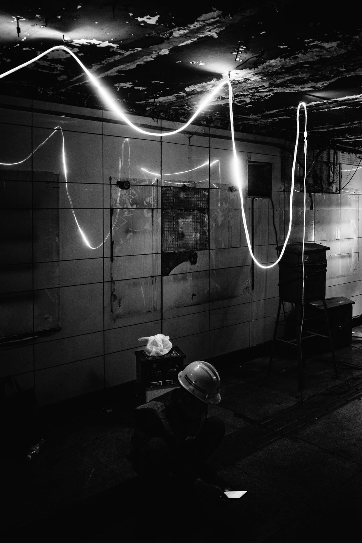 Fed on Light