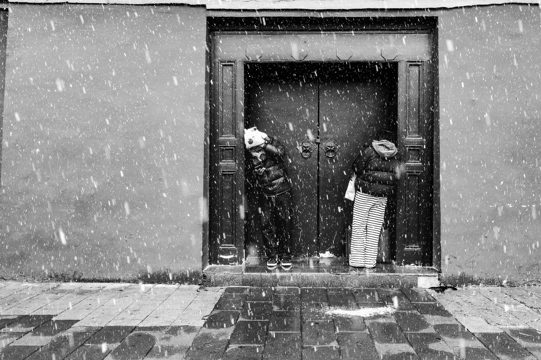 Twin Feeds Behind the Snow