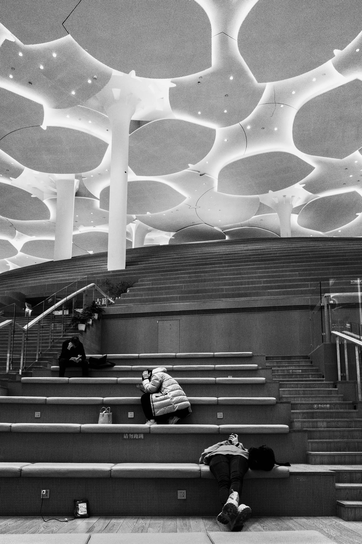 Fed Beneath the Dome