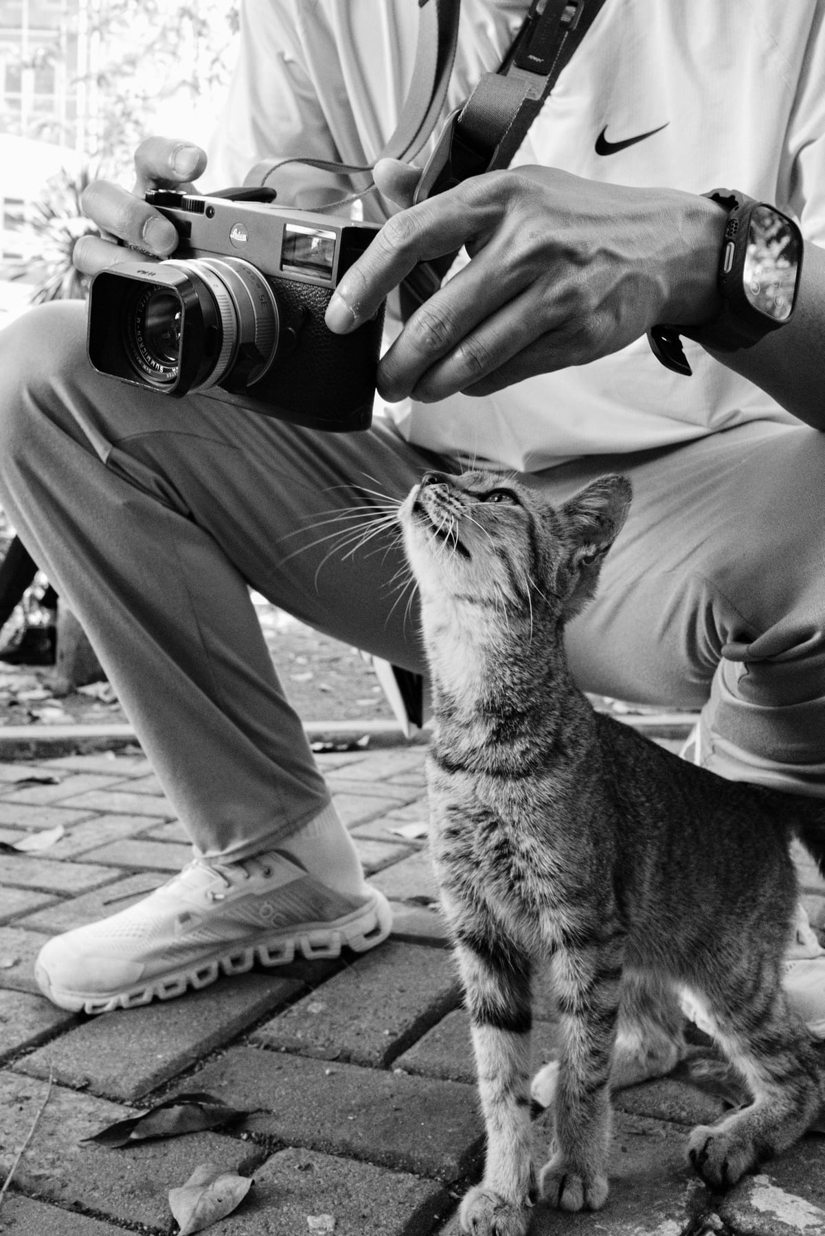 Mutual Feed